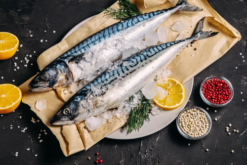 Скумбрия атлантическая